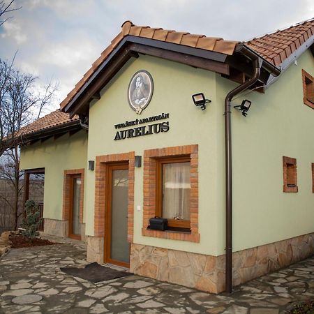 Vinarsky Penzion Andre Velke Pavlovice Luaran gambar