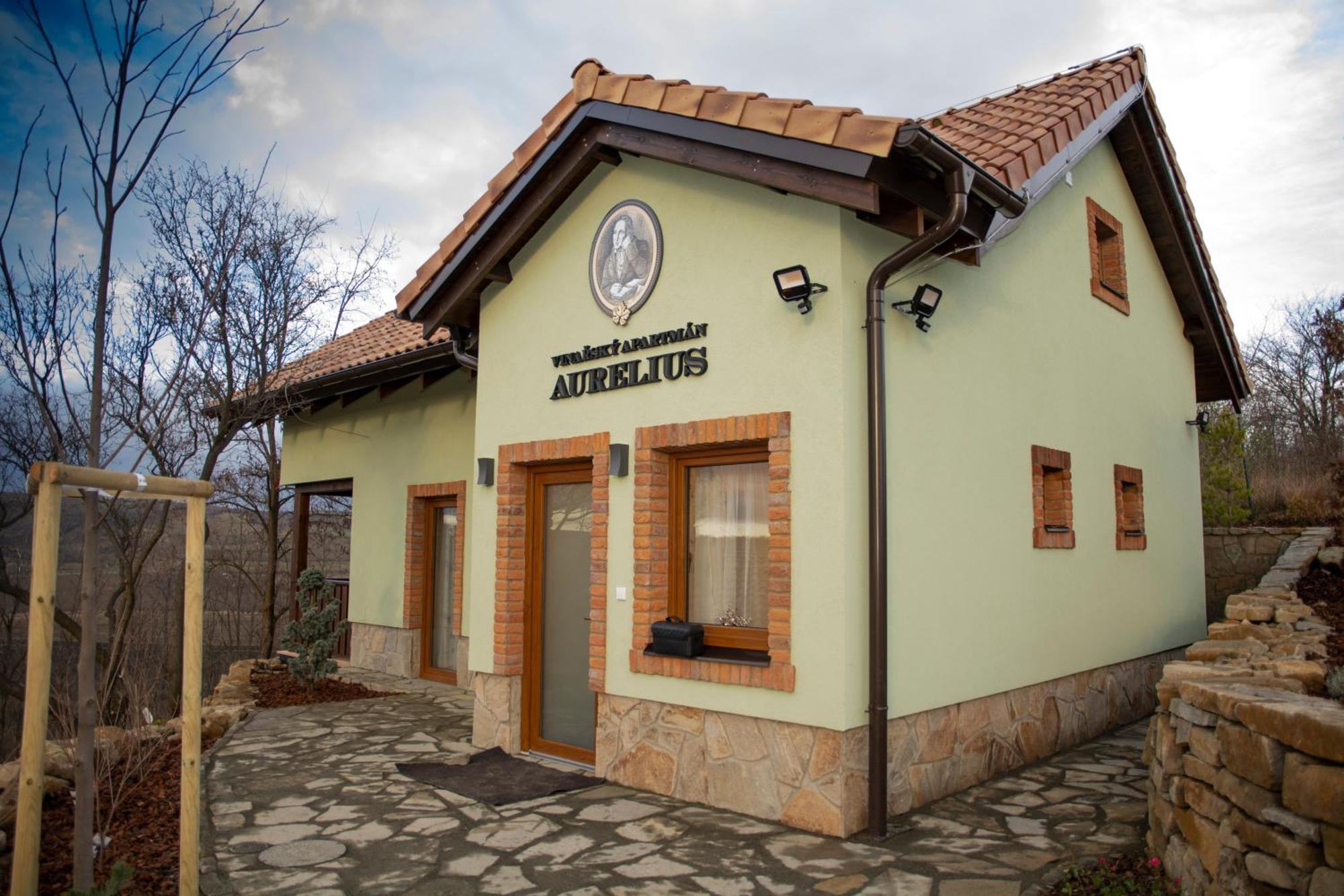 Vinarsky Penzion Andre Velke Pavlovice Luaran gambar